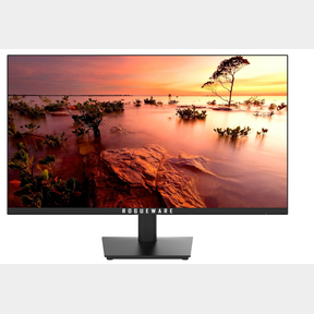 ROGUEWARE W2213SG 21.5 1080P FULL HD MONITOR - CRACKED SCREEN