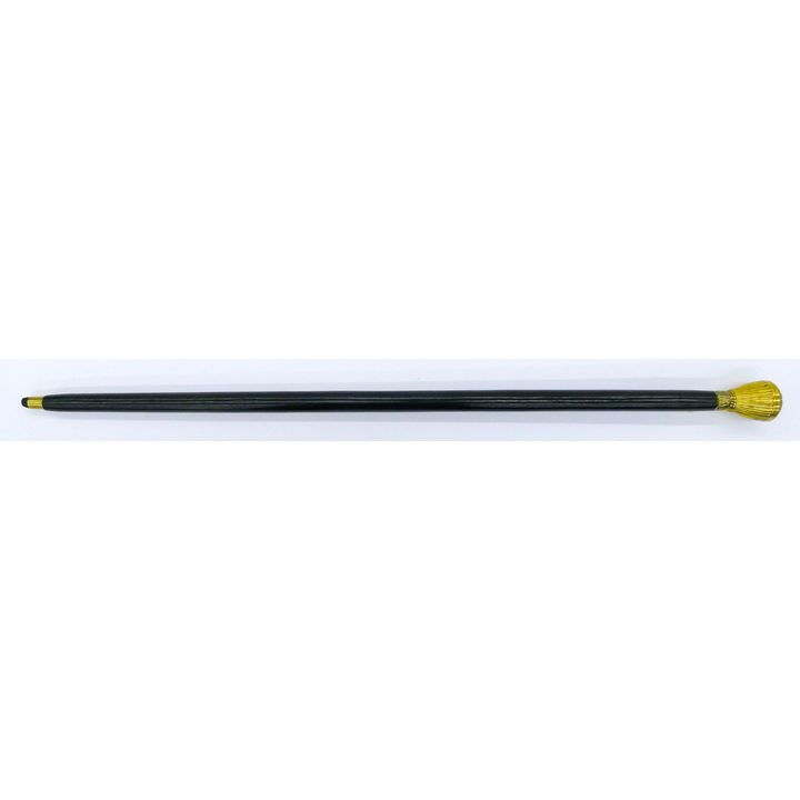 US Silver Half Dollar Brass Walking Stick 36''