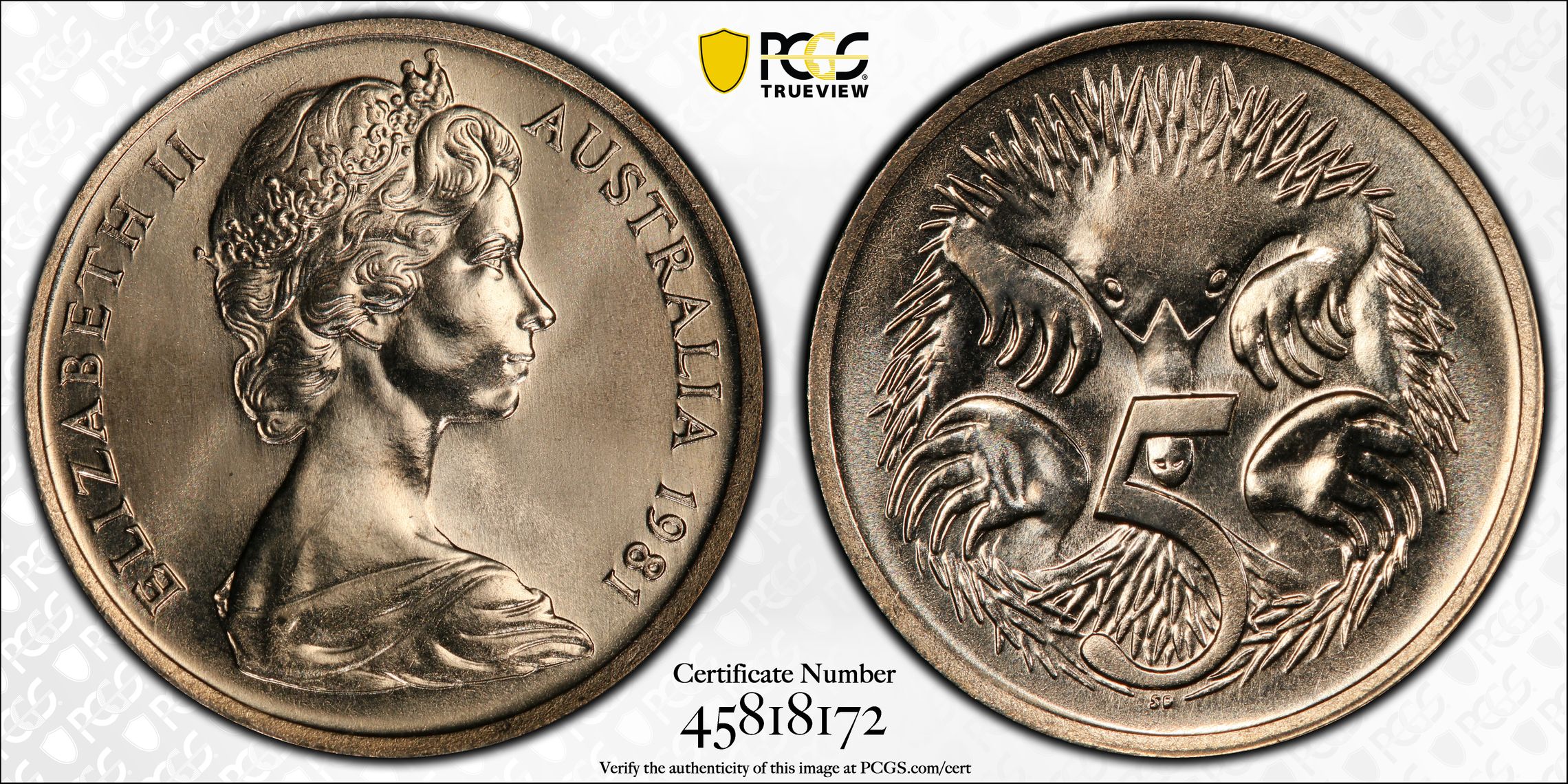 Five Cent, 1981, PCGS MS67