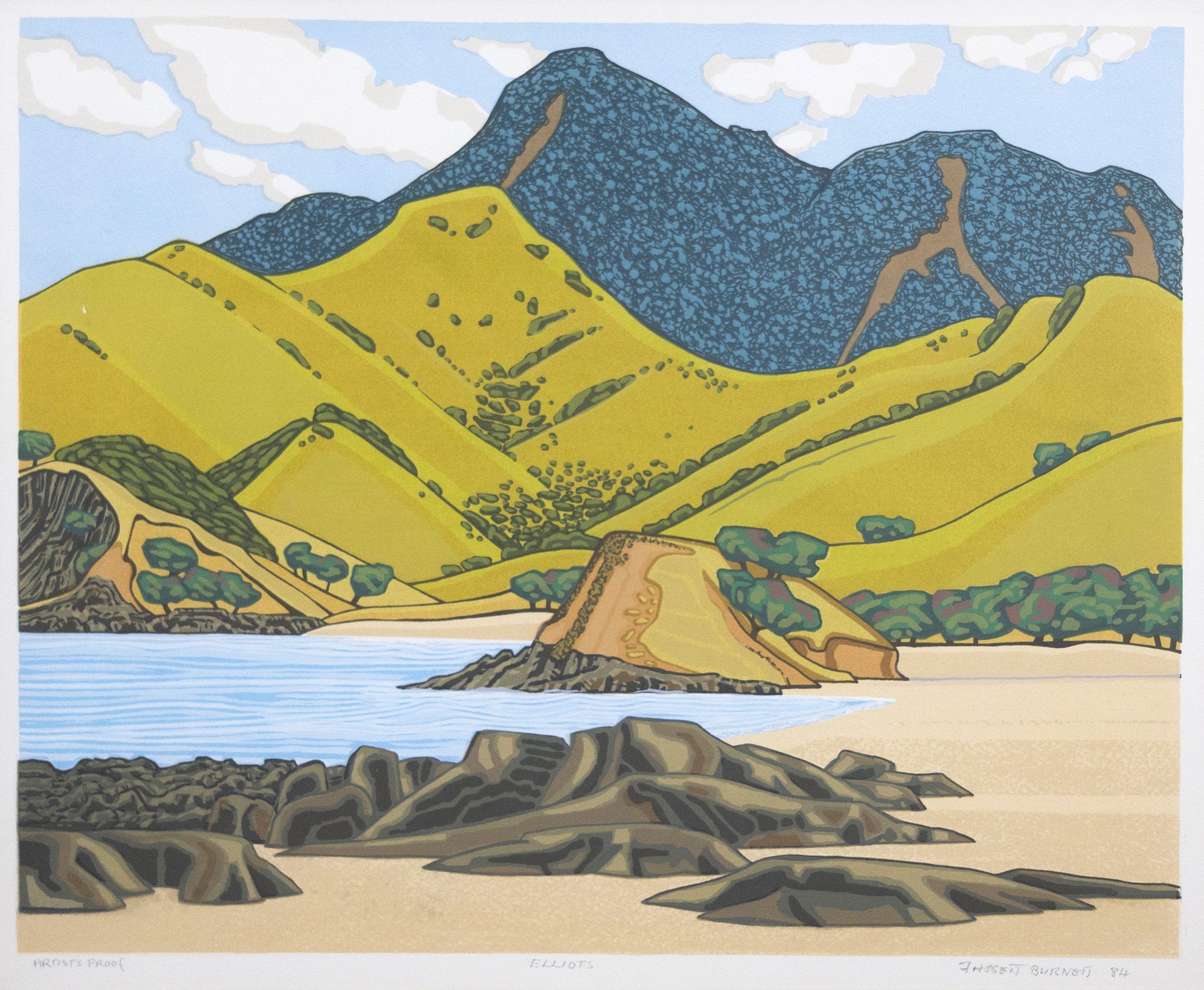 Fassett Burnett 'Elliots' — sold at auction in New Zealand for $1,400