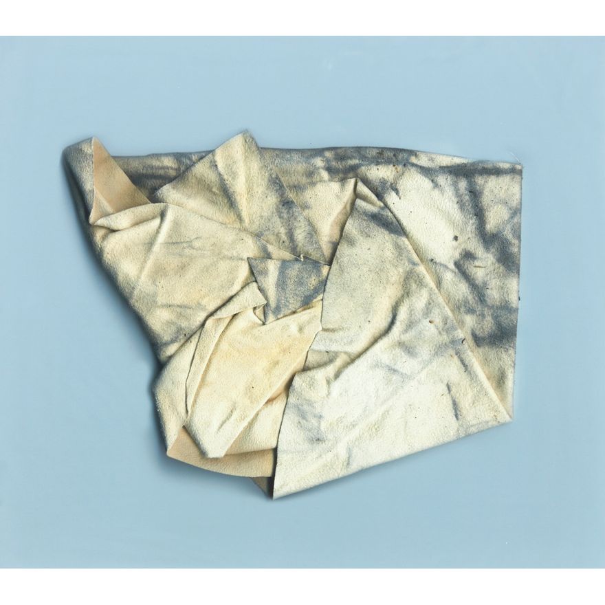 Dane Mitchell 'Dust Breeding'