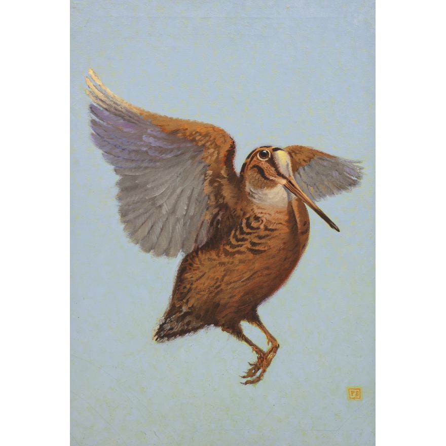 Paul Strayer ''The Woodcock'' (Game Bird) Oil