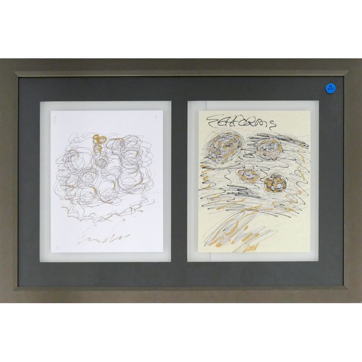 Chihuly Style Diptych Seaform Drawing Framed 19''x27.5''