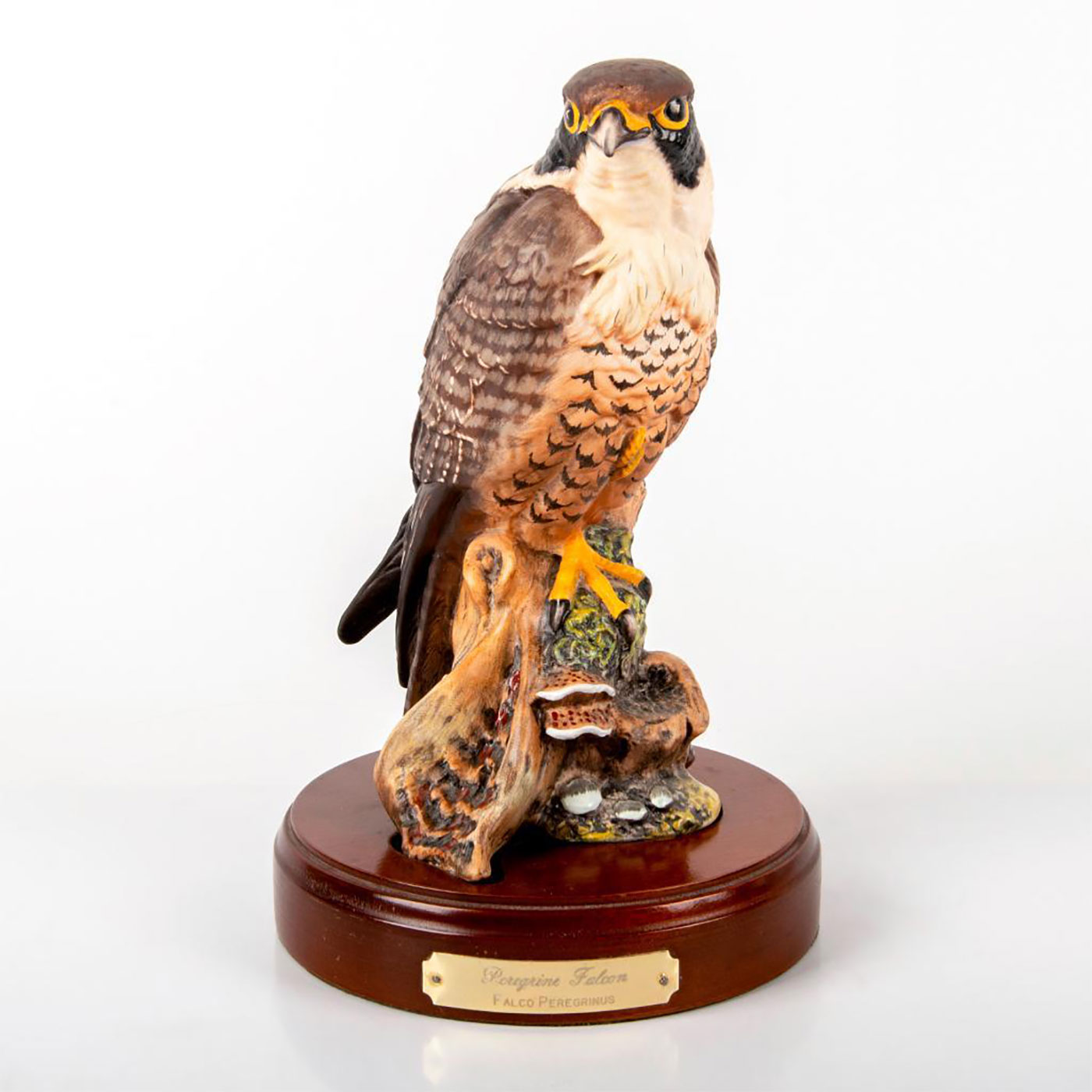 Peregrine Falcon HN3541 - Royal Doulton Figurine | Lion and Unicorn