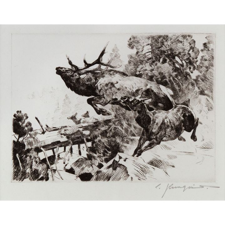 Carl Rungius (1869-1959), Stampede