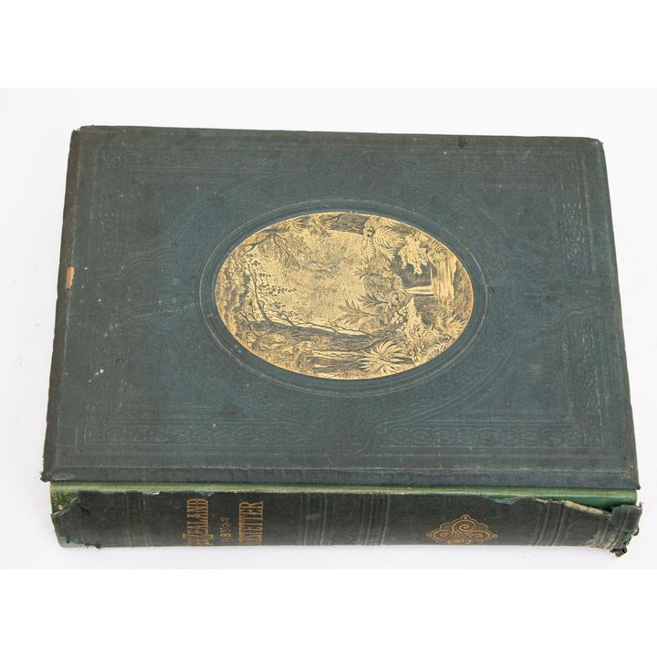 VON HOCHSTETTER, DR FERDINAND - New Zealand; Its Physical Geography, Geology, and Natural History.