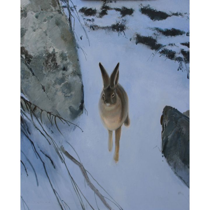 Nicholas Coleman (1978- ), Snowshoe Rabbit - In the North Woods