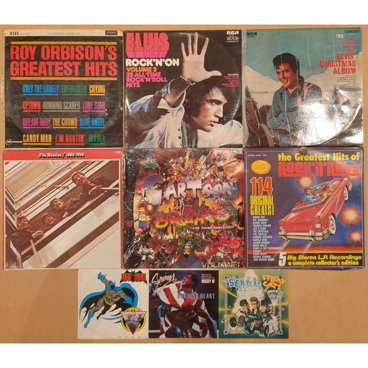 Vinyl Records (x9)