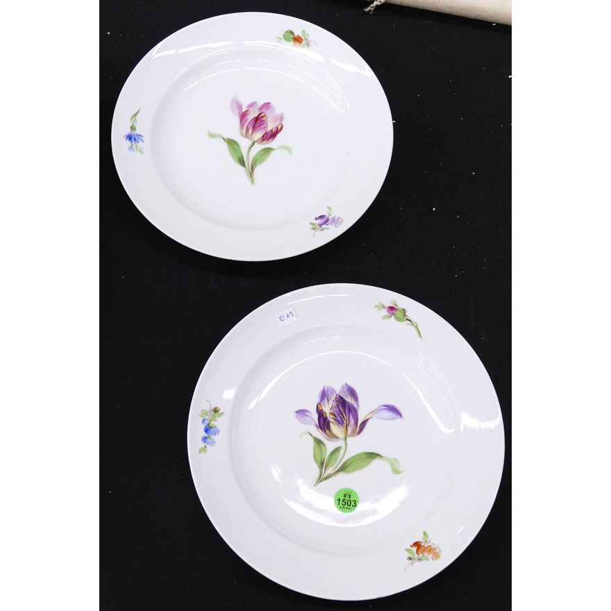 Pair Meissen Floral Porcelain Plates- 9.5''
