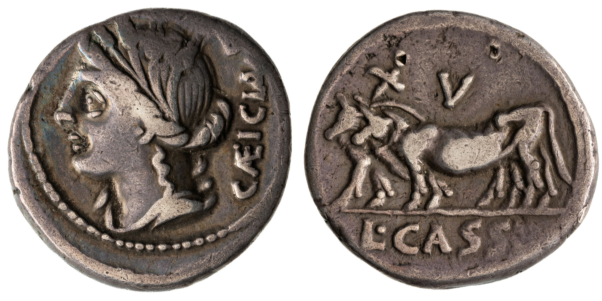 Cassia, Denarius, 102 BC, VF