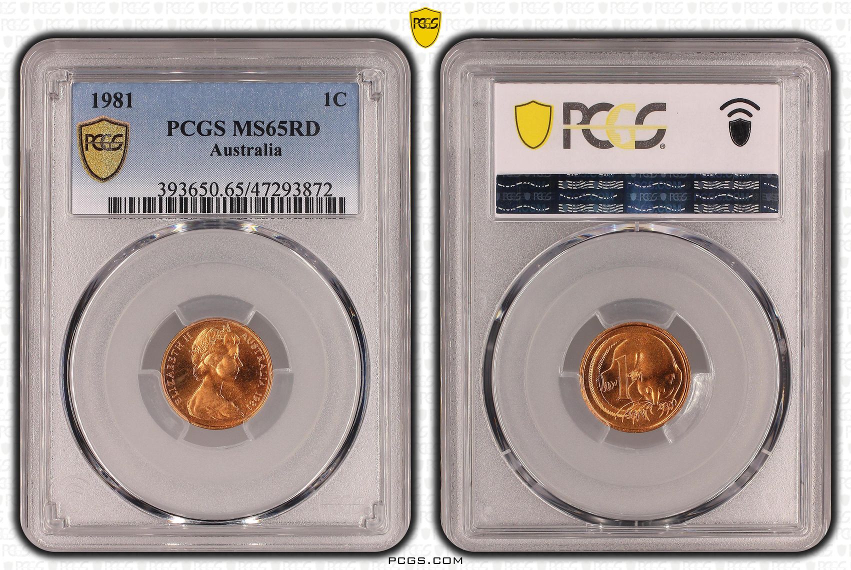 One Cent, 1981, PCGS MS 65RD
