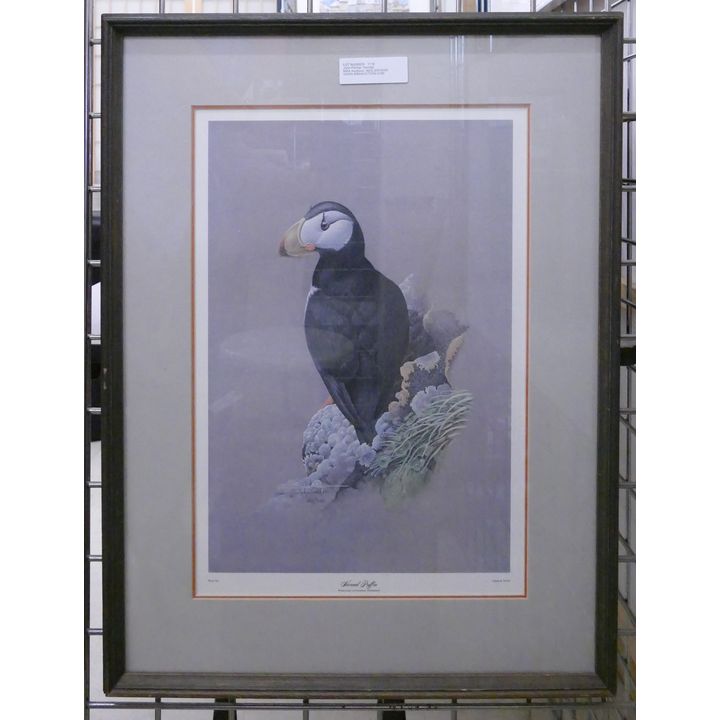 John Pitcher 'Horned Puffin' S/N Lithograph- 27x20'' framed