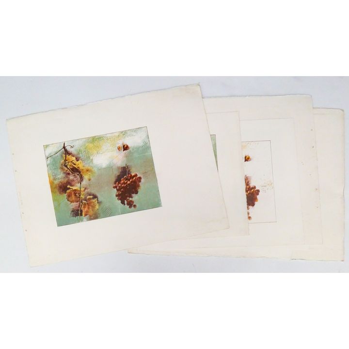 12pc Trevor Southey Assorted Grapes & Vine Test Prints.