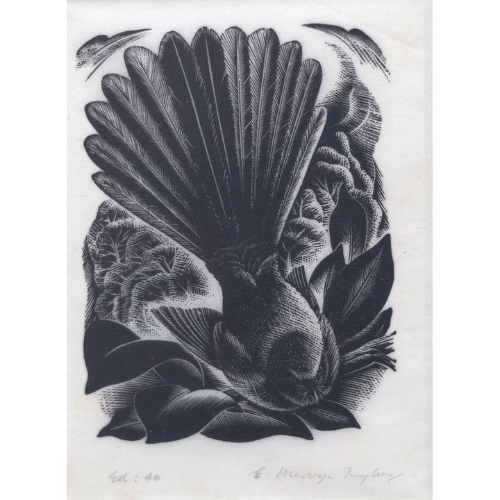 E. Mervyn Taylor 'Fantail'