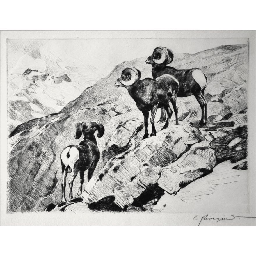 Carl Rungius (1869-1959), Cliff Dwellers