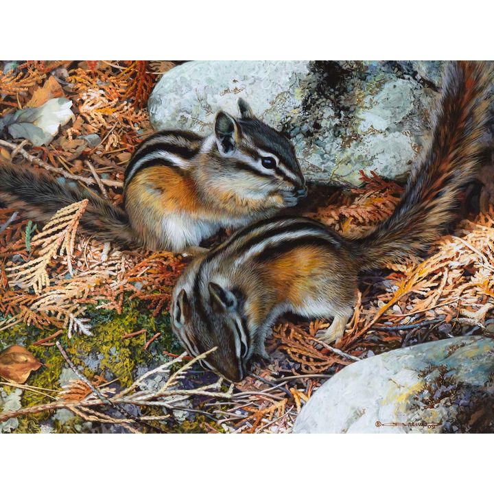 Carl Brenders (1937- ), Chipmunks