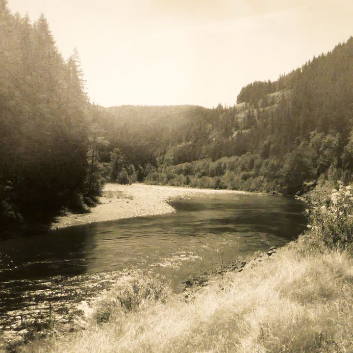 'PNW River Landscape'' Gelatin Silver Print