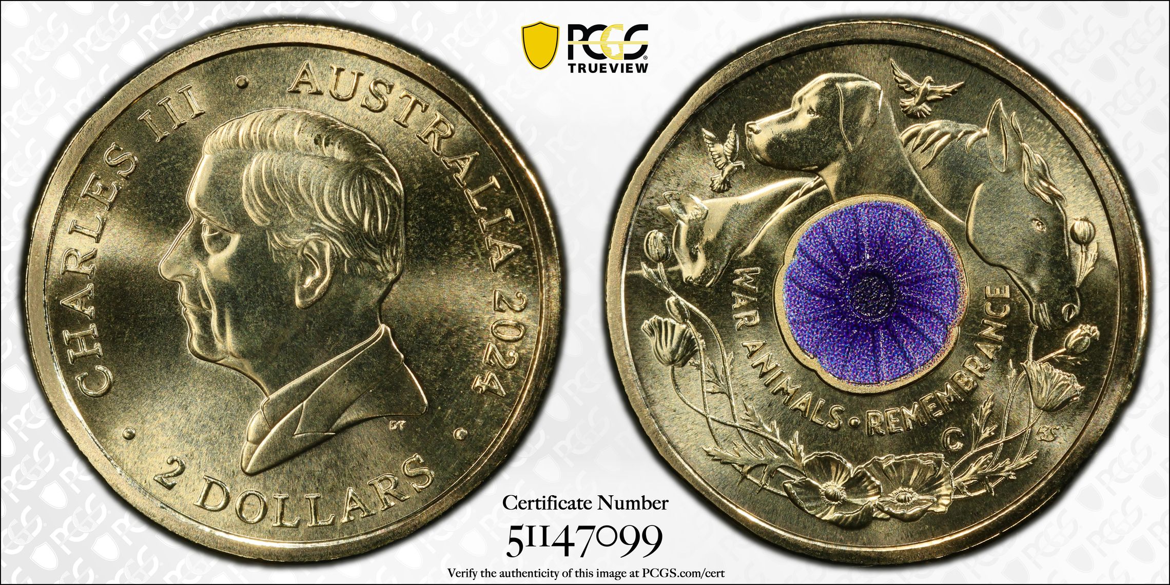 War Animal Remembrance Colorized , Two Dollar, 2024-C, PCGS MS69