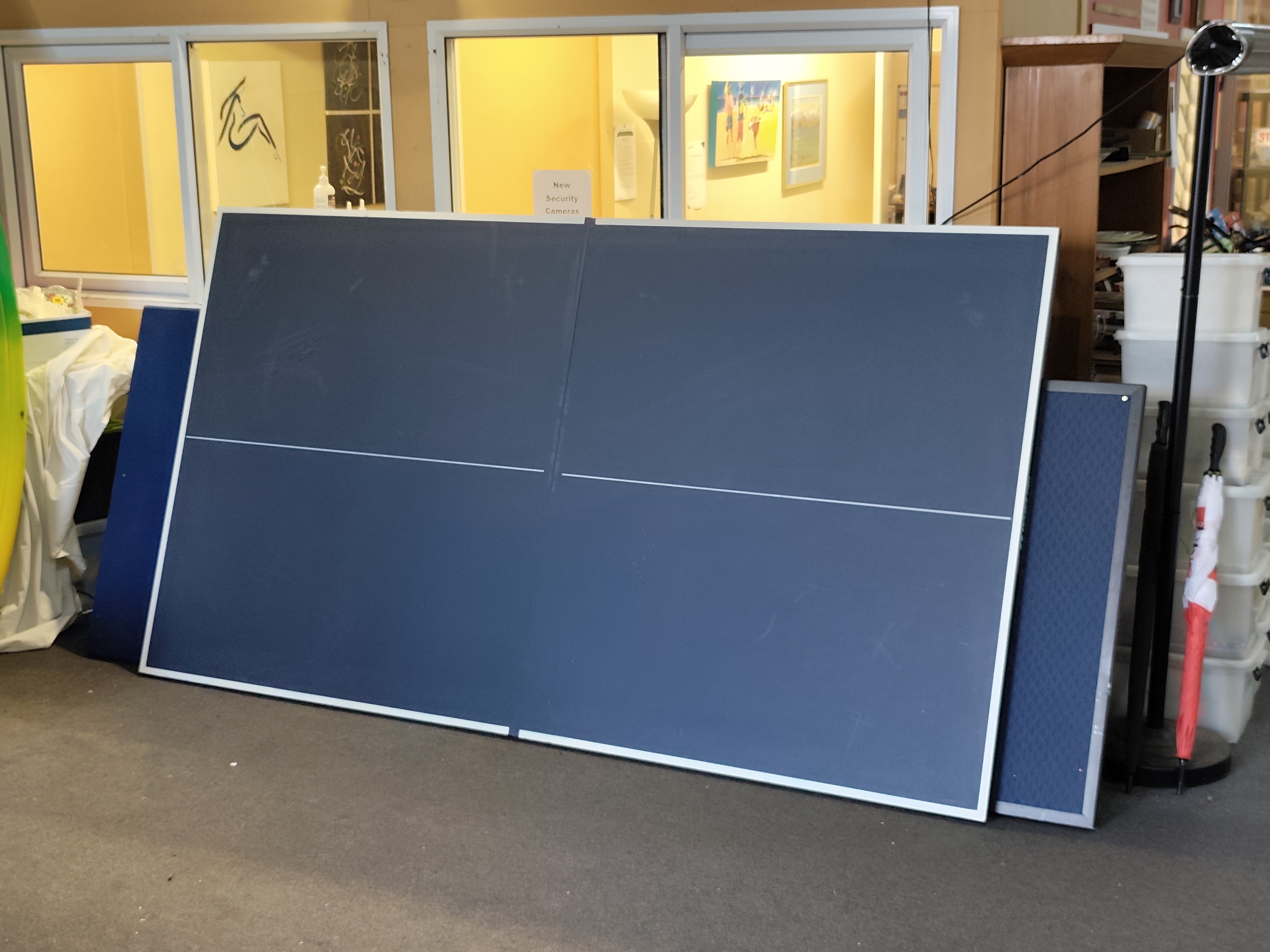 Quality Double Fish Table Tennis Table — NZ auction result