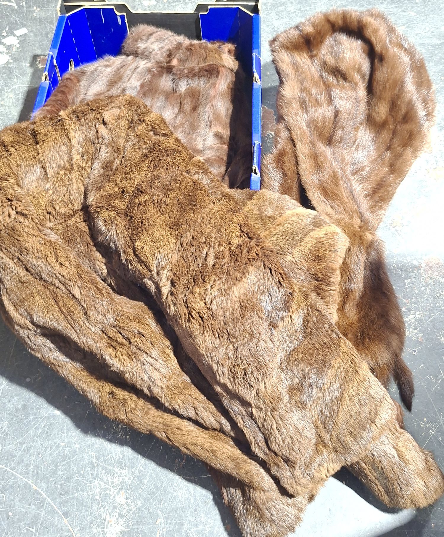 Furs And Stoles