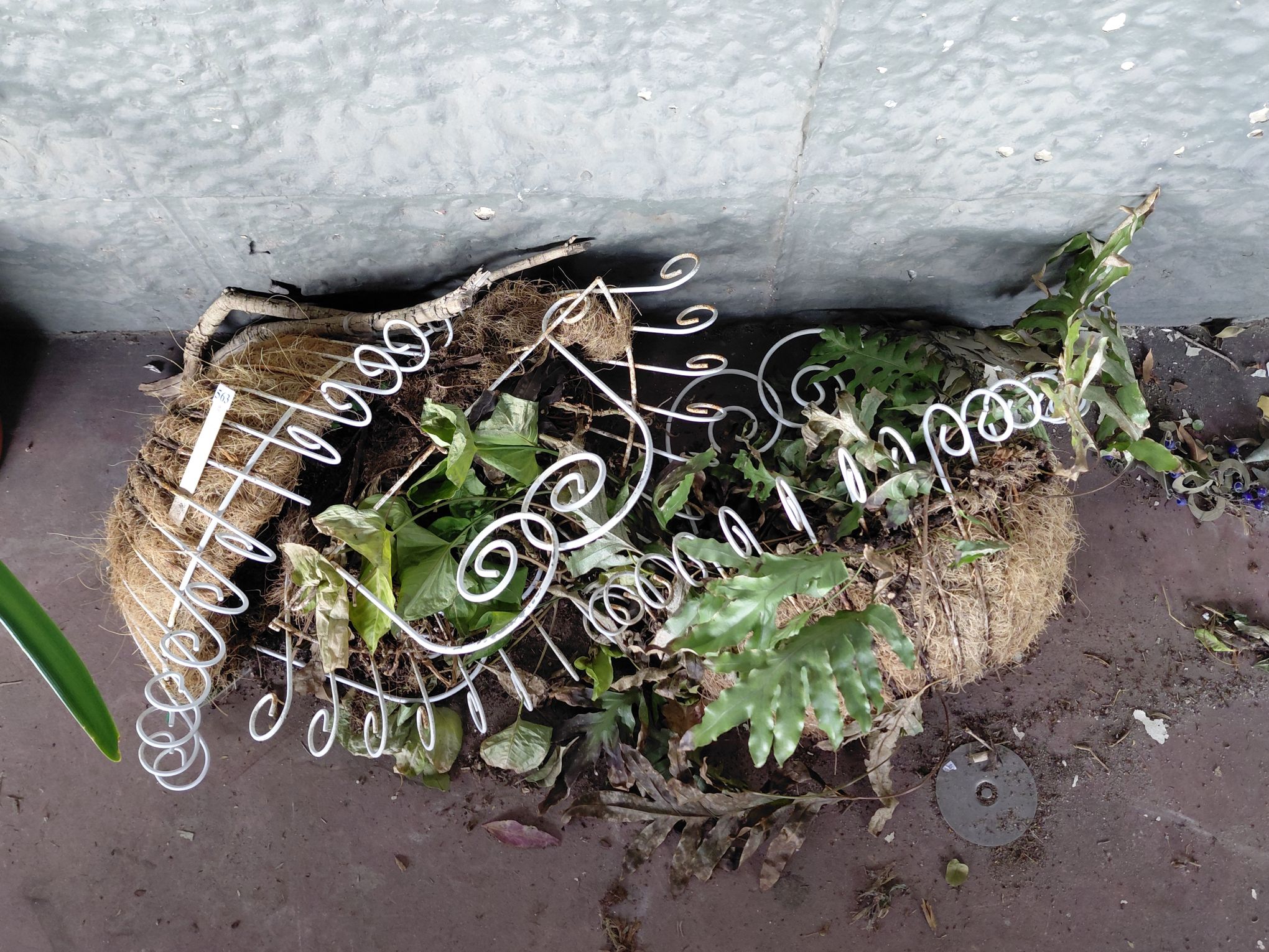 Wire Work Wall Baskets