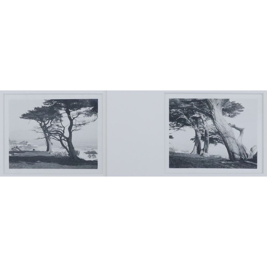 2pc William Dassonville ''Monterey Coast'' Silver Print