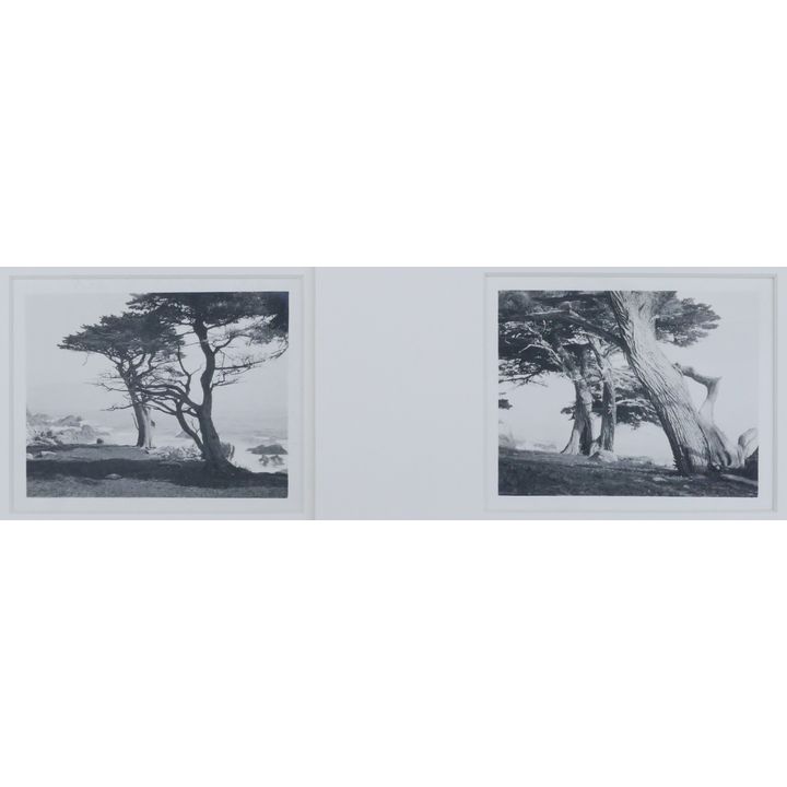2pc William Dassonville ''Monterey Coast'' Silver Print