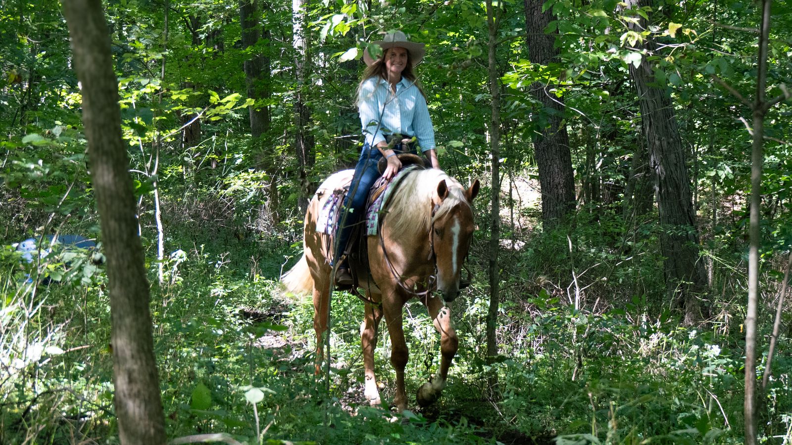 APOLLO | Horse Bid, LLC