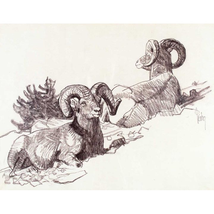 Untitled (Bighorn Sheep) by Bob Kuhn (1920-2007)