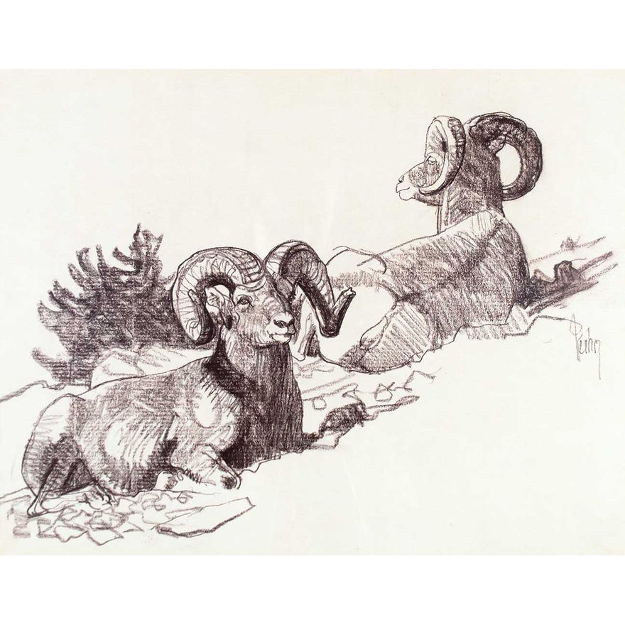 Untitled (Bighorn Sheep) by Bob Kuhn (1920-2007)