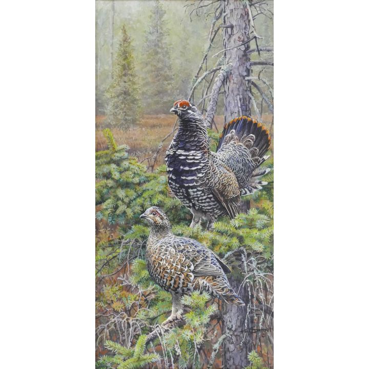 Kim Diment ''Spruce Grouse in North Country'' Acrylic