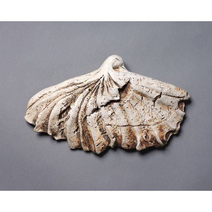 Len Castle - Fossilised Bird