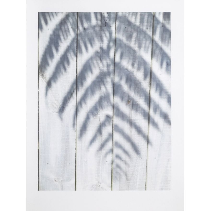 Peter Peryer 'Fern'