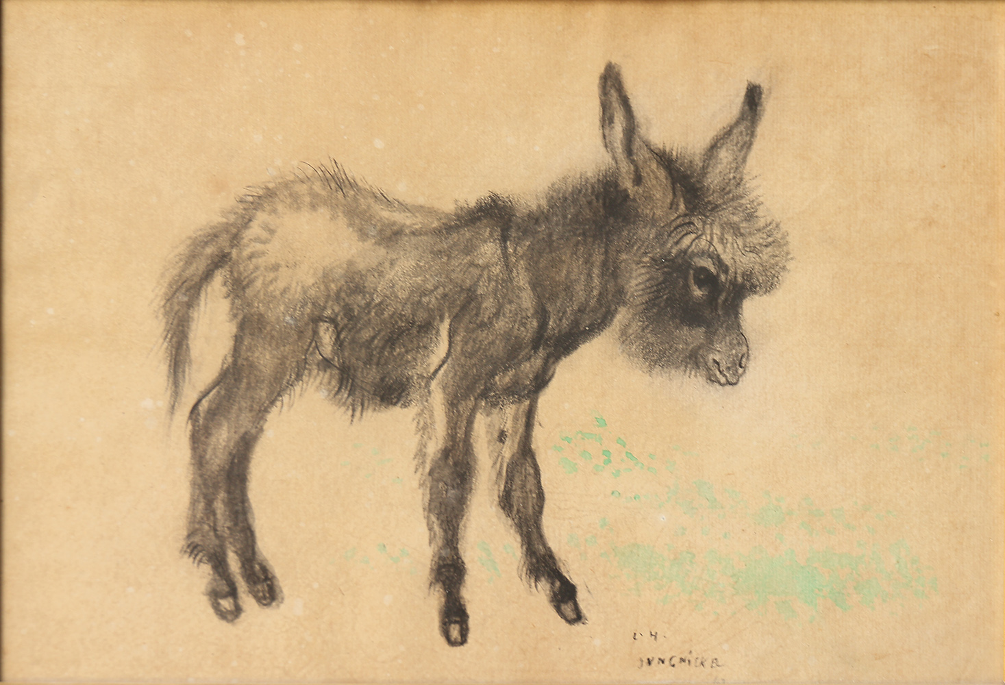 Image cover