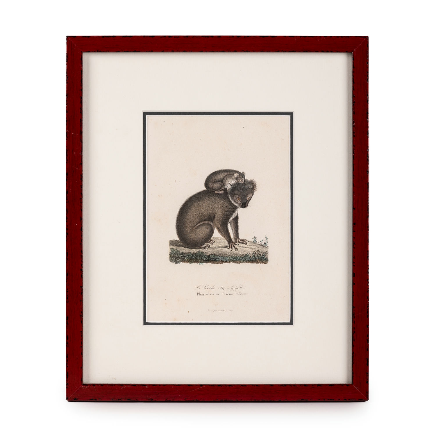 France, Series Of Varied Engravers - Koala With Young, 1840