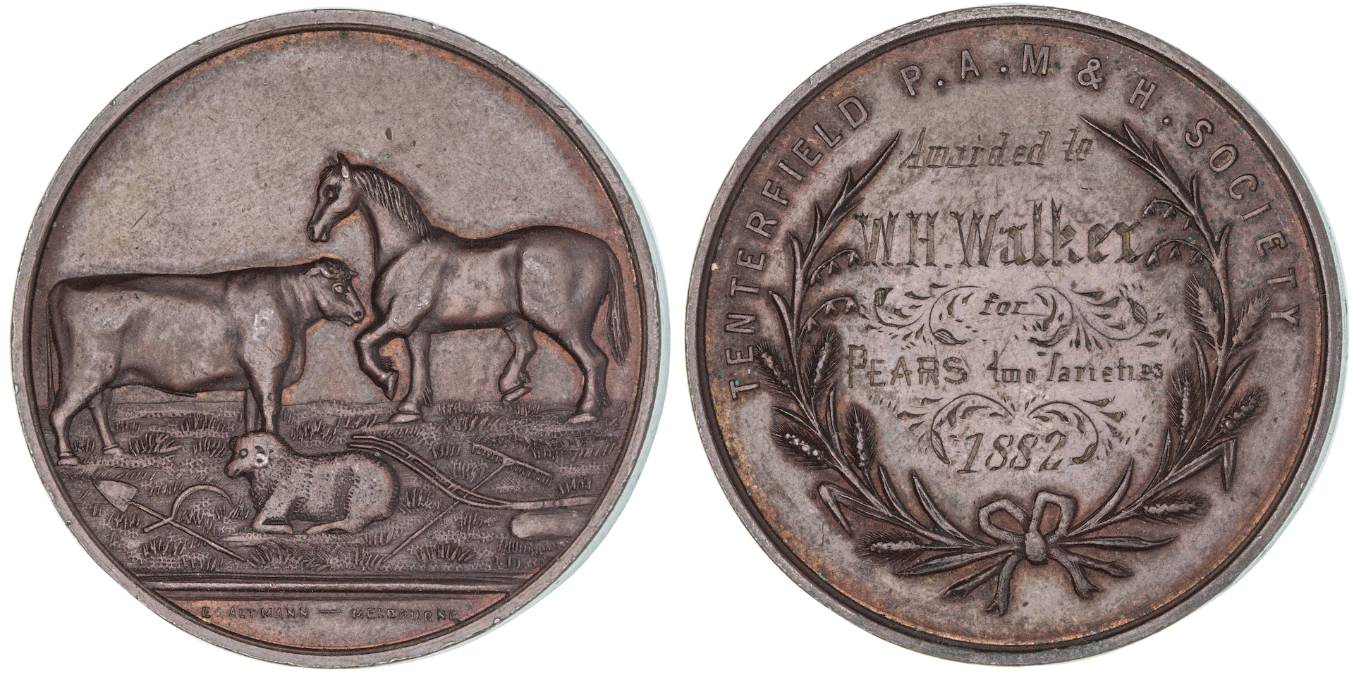 Tenterfield Intercolonial Pastoral Agricultural & Mining , 1882, EF