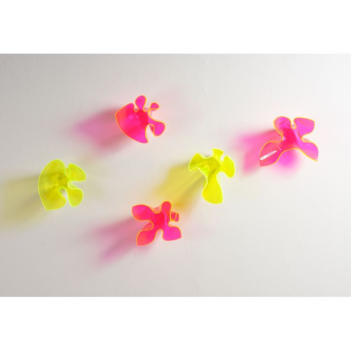 Judy Darragh 'Laser Bloom'