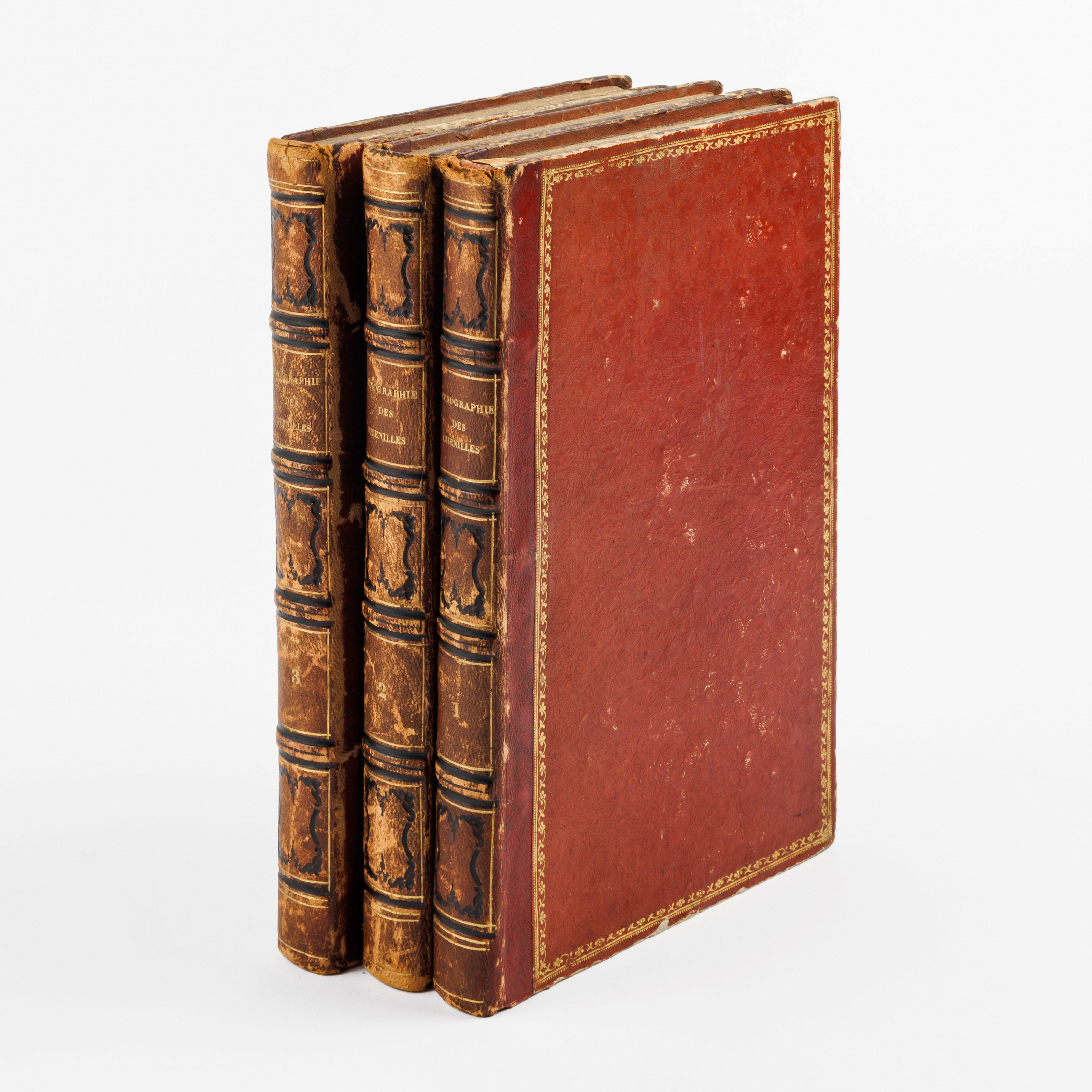 (chenilles - rupsen) Boisduval/ Rambur/ Graslin, Collection iconographique et historique des chenil… – kavel bij Bernaerts, Antwerp