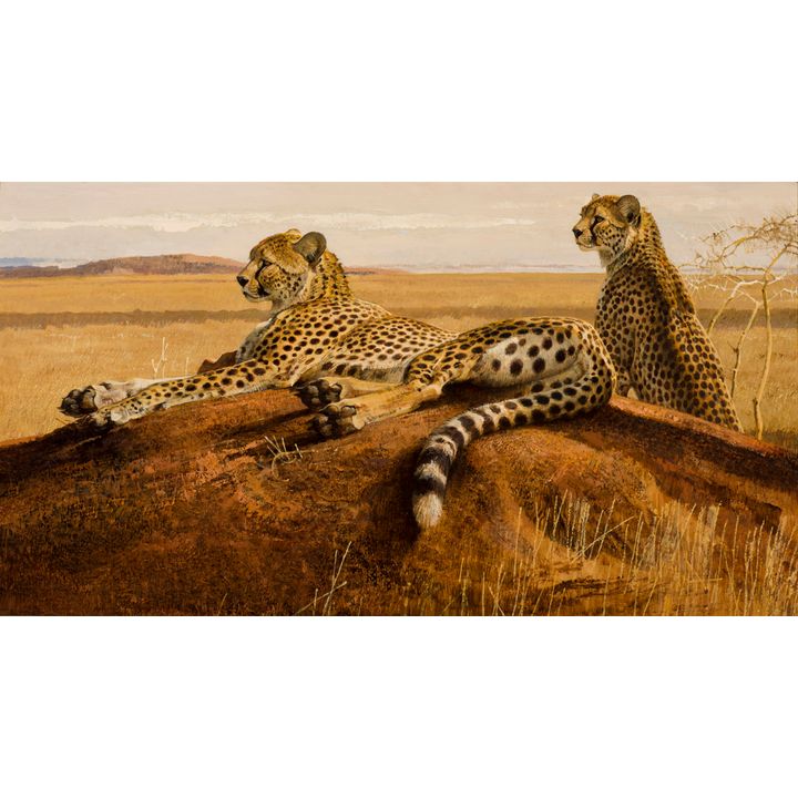 Bob Kuhn (1920-2007), Cheetahs on a Termite Hill
