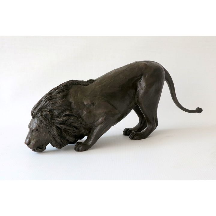 DONALD GREIG - BRONZE - DRINKING LION, in presentation box, 24/30