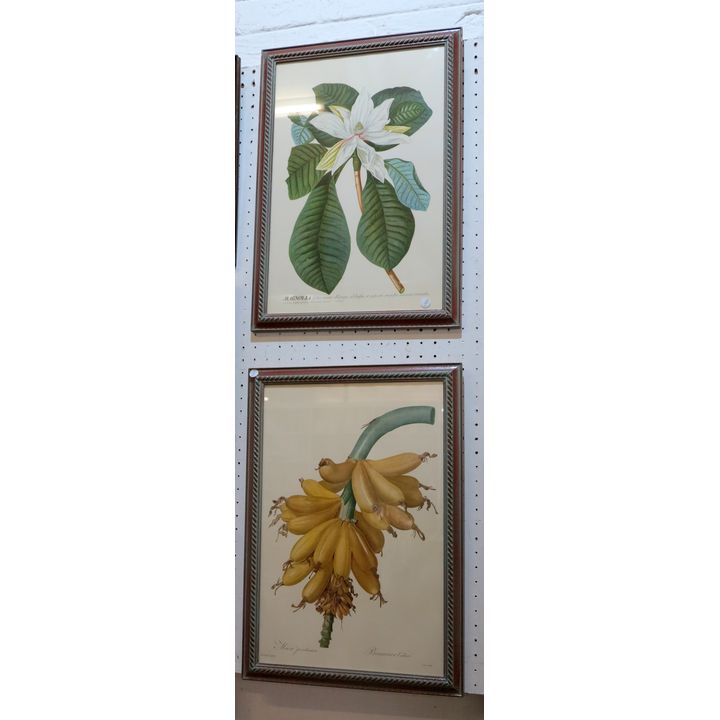 PAIR OF PRINTS