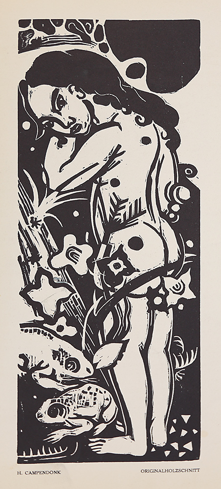 Image cover