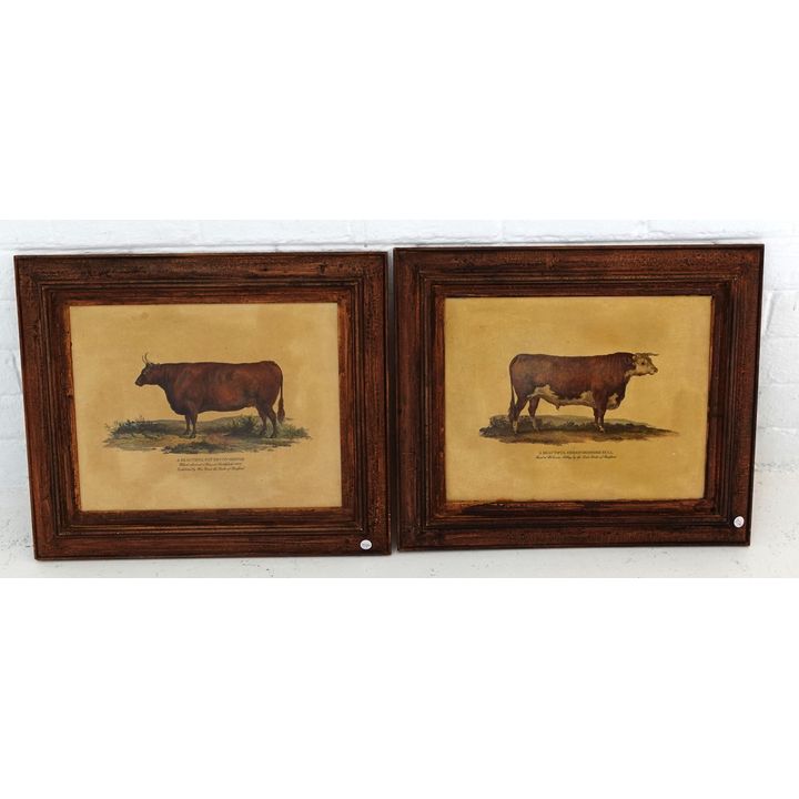 PAIR OF FRAMED PRINTS