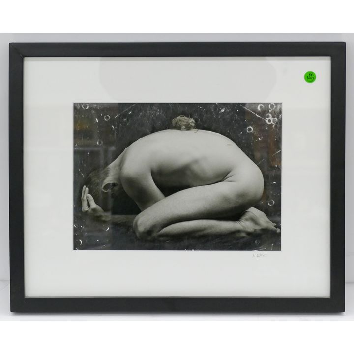 Nichole DeMent ''The Nest 2'' 2003 Silver Gelatin Print Framed 17''x21''