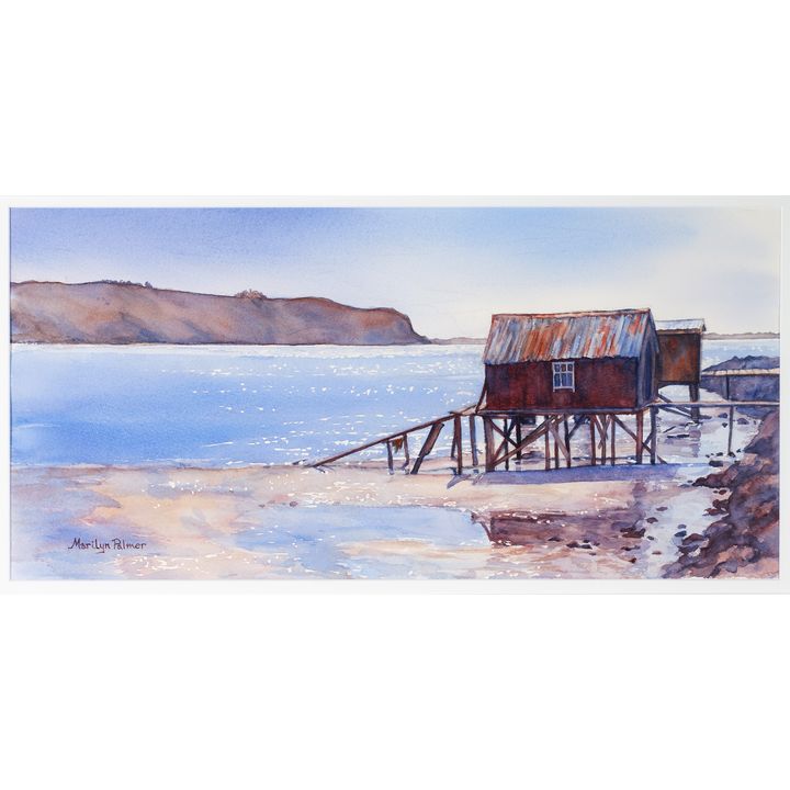 Marilyn Palmer-Story, First Light - Otago Peninsula