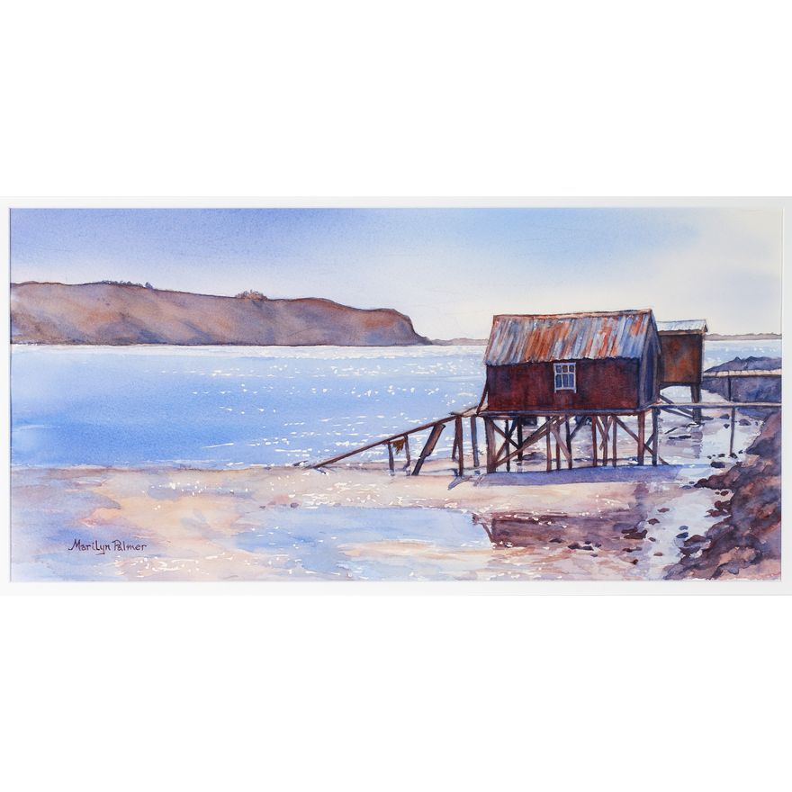 Marilyn Palmer-Story, First Light - Otago Peninsula