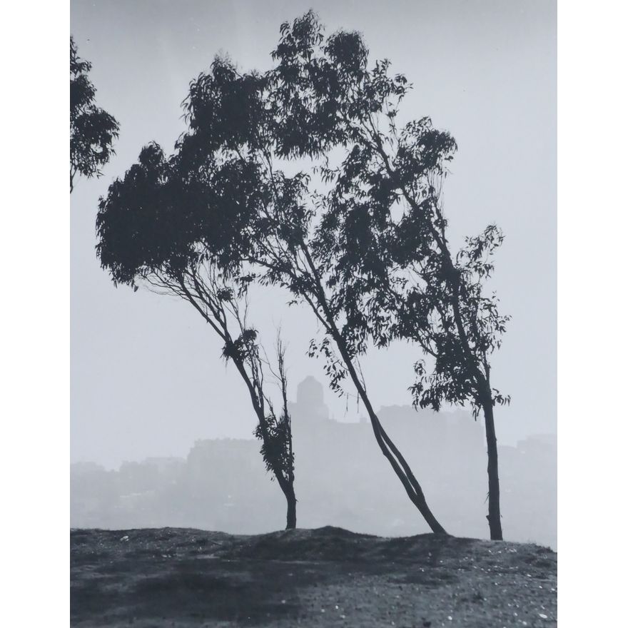 William Dassonville ''San Francisco from Telegraph Hill"