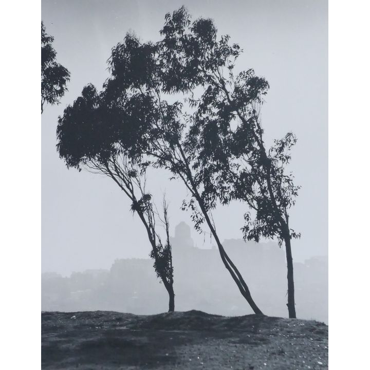William Dassonville ''San Francisco from Telegraph Hill"