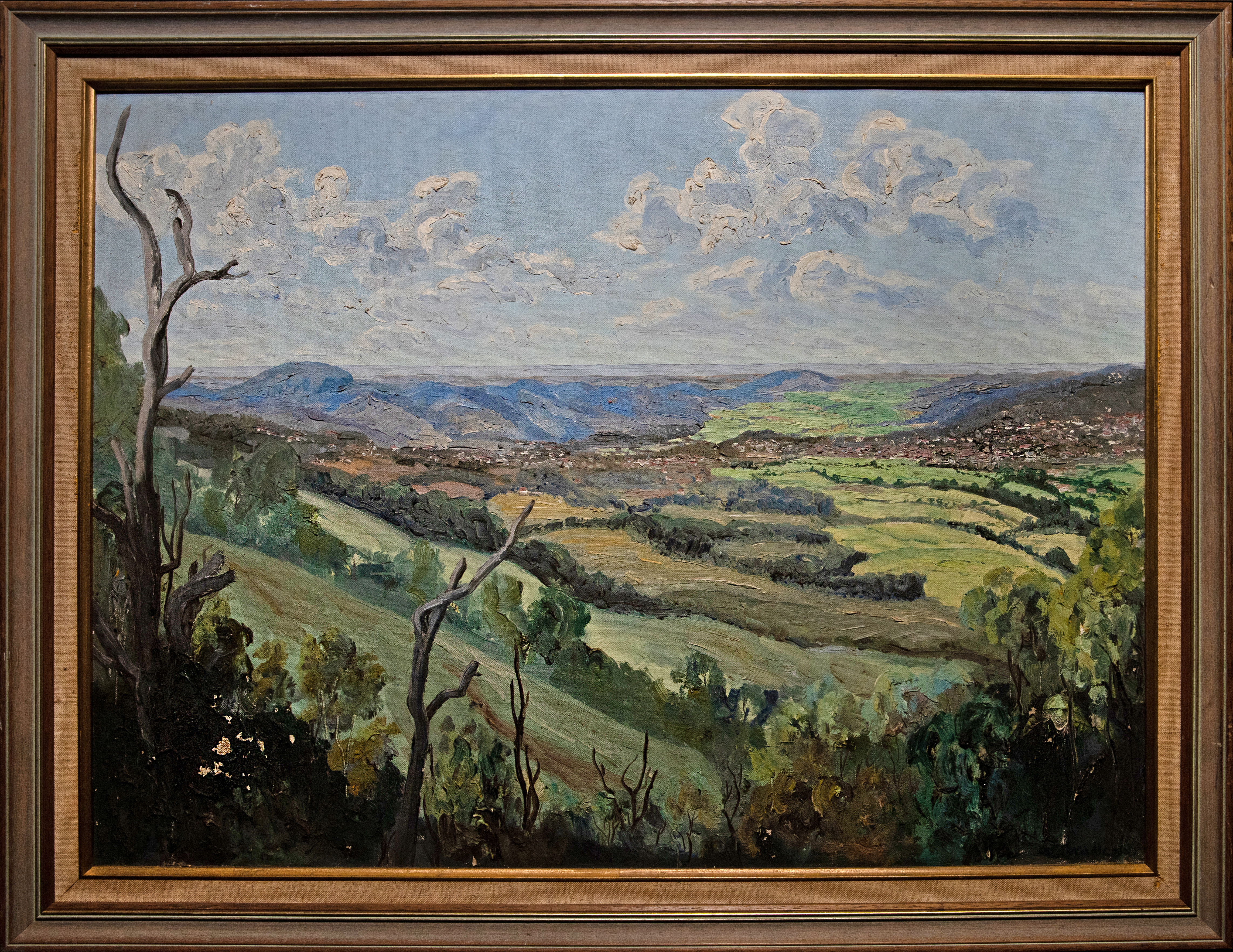 443 · A. Bradley, 'Valley View', 1955