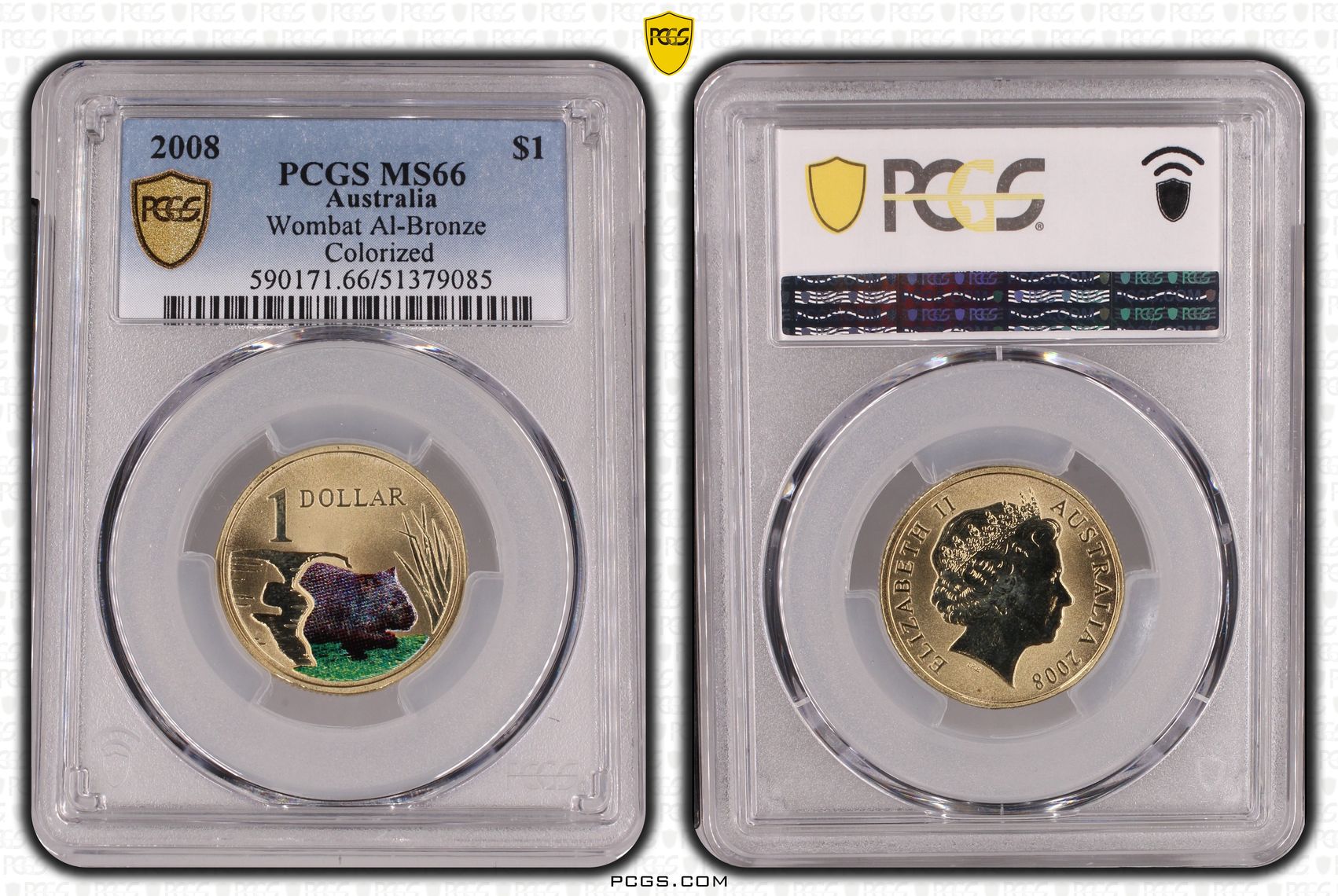 Wombat Al-Bronze, One Dollar, 2008, PCGS MS66